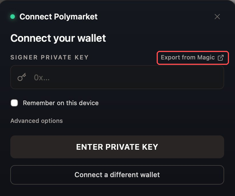 Connect your wallet screen with the Export from Magic link highlighted